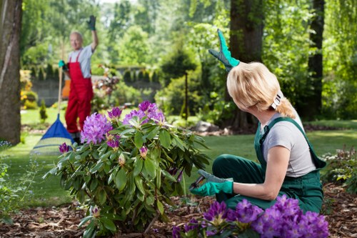 Garden maintenance crew arriving with tools by a residential lawn