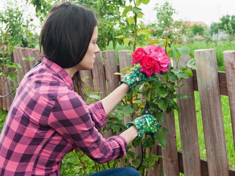 Sustainable garden practices with native plants and eco-friendly tools