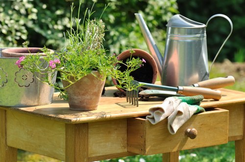 Assorted plants suitable for Blackfriars gardens