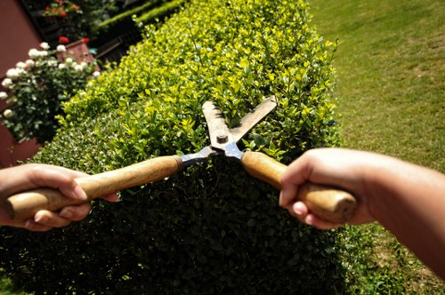 Skilled craftsmen installing a deck