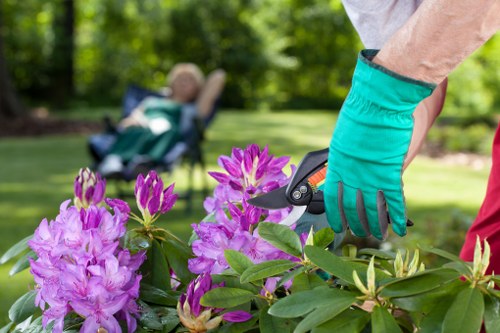 Eco-friendly garden clearance practices