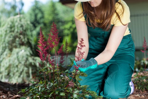 Bank transfer option information for garden maintenance