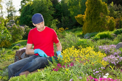 Key services offered in garden clearance
