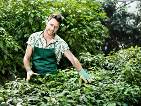 Eco-friendly lawn care practices in Blackfriars