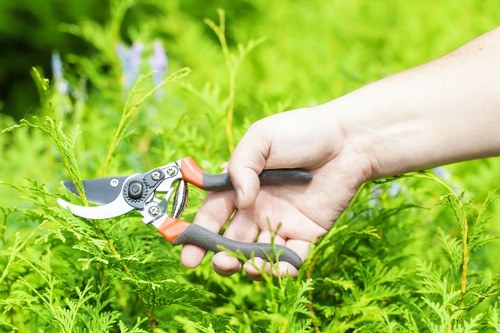 Stylish plant selection for a Blackfriars residential garden